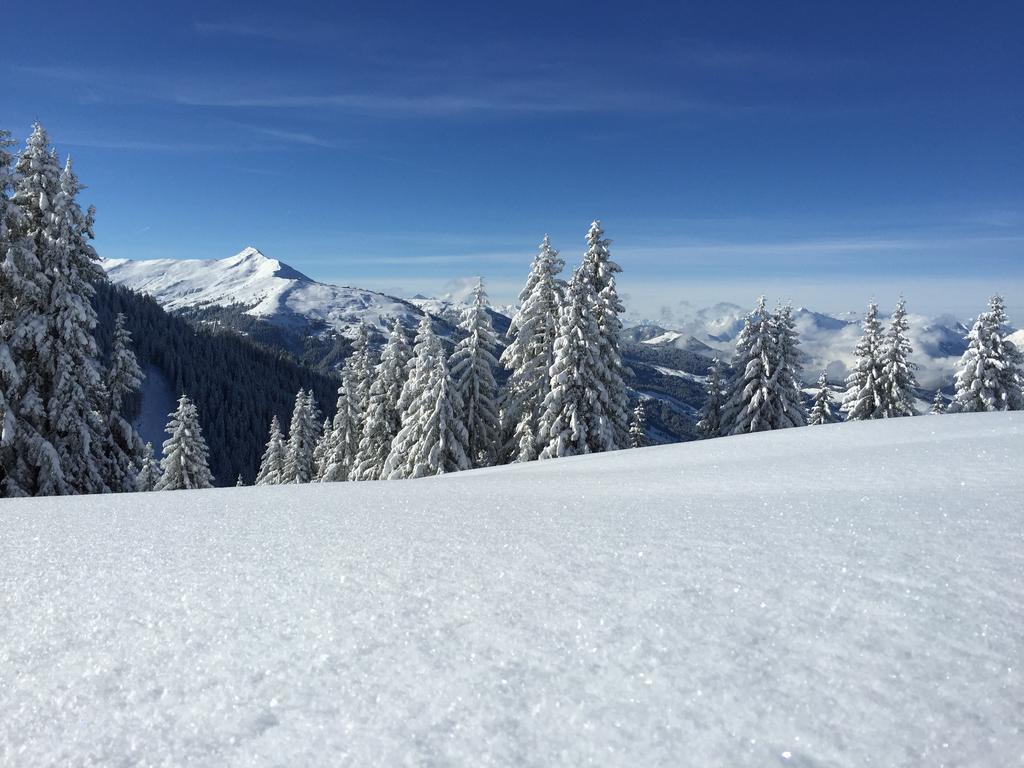 Das Juwel Reith Reith im Alpbachtal Esterno foto