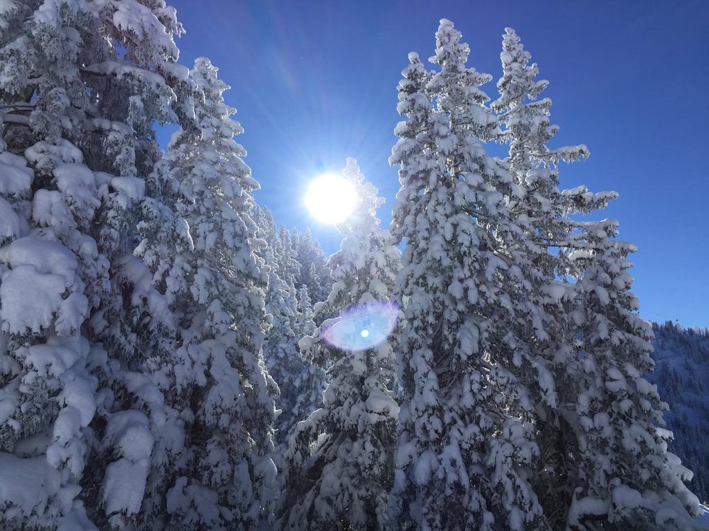 Das Juwel Reith Reith im Alpbachtal Esterno foto